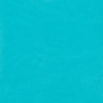 CC Faux Leather 12X12 3D Ring Album AQUA BLUE