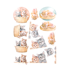 3D Diecut Decoupage Pushout Kit - Amy Design - Cats World - Kittens