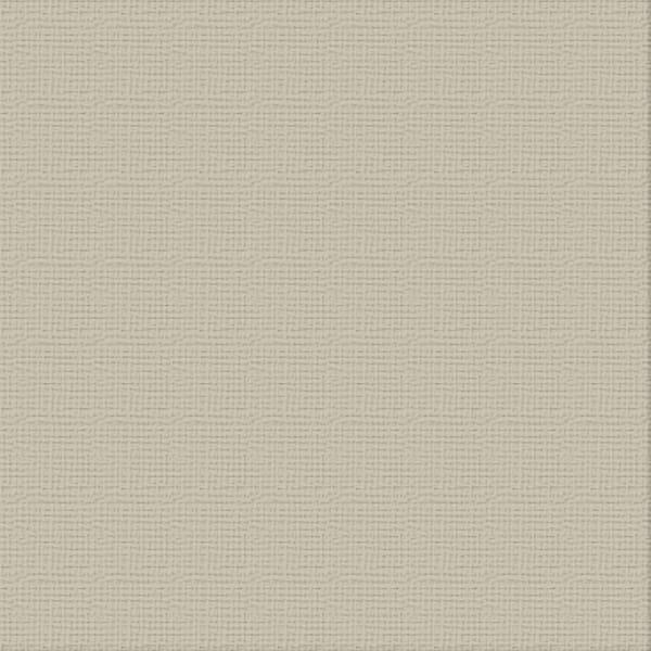 CC Textured Cardstock - 12x12 - Whisper (216gsm) - 10 Sheets