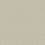 CC Textured Cardstock - 12x12 - Whisper (216gsm) - 10 Sheets
