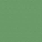 Cardstock - 12x12 - Shamrock (216gsm)