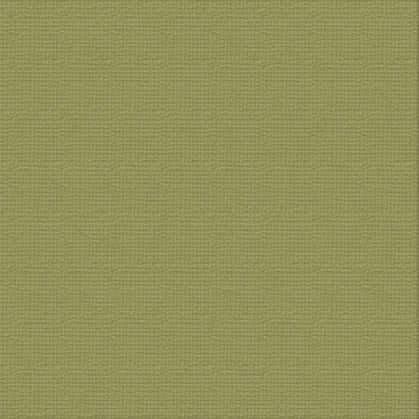 Cardstock - 12x12 - Battle Fatigue (216gsm)