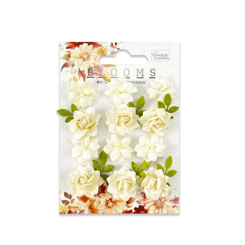 Blooms By