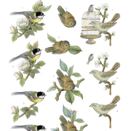 3D Push Out - Jeanine's Art - Vintage Birds - Birdcage