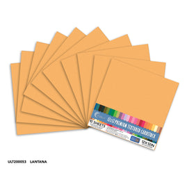 CC Textured Cardstock - 12x12 - Lantana (250gsm) - 10 Sheets