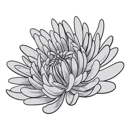 Aster Mini Layering Stamp and Die Set (4pc)