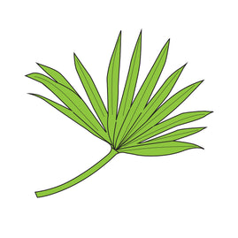 Stamp and Dies - Palm Leaf - Approx. 50 x 50mm | 1.9 x 1.9in