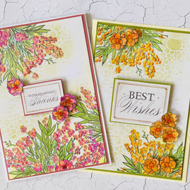 Stamp and Colour Stamp - Homely Florals - Acacia Dreams Set (7pc)