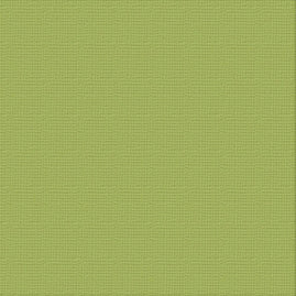 Cardstock - 12x12 - Olive Grove (216gsm)